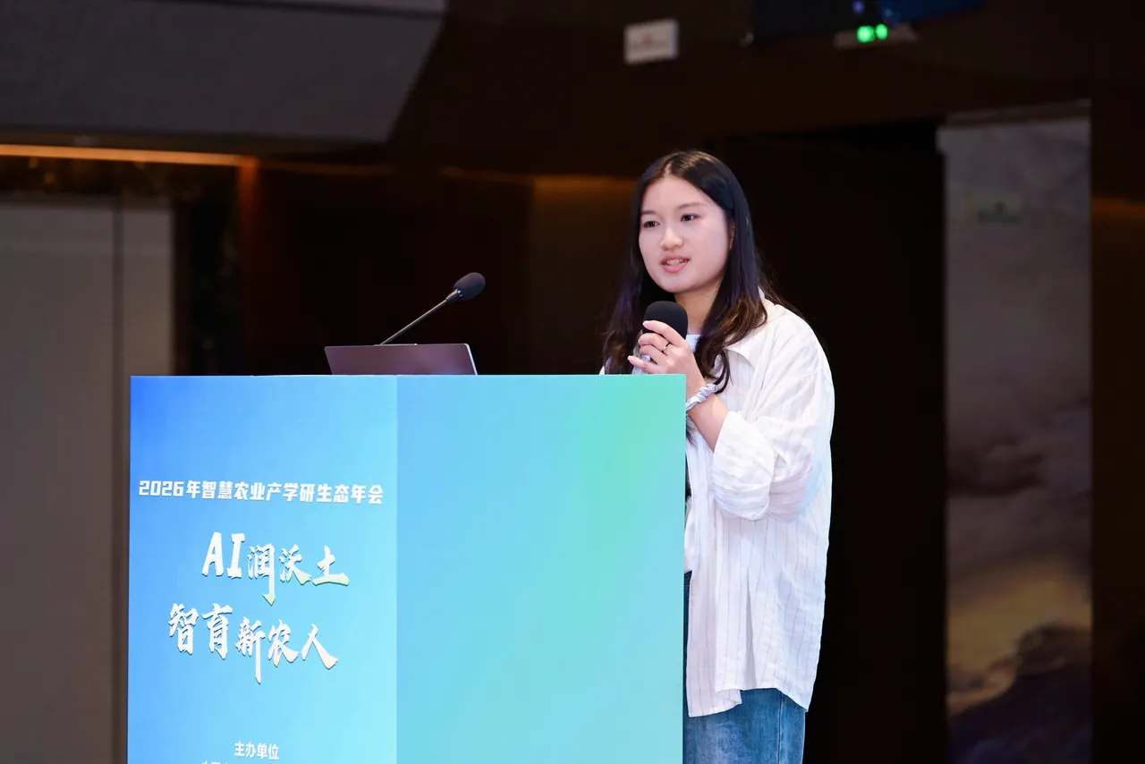 参赛照片 1