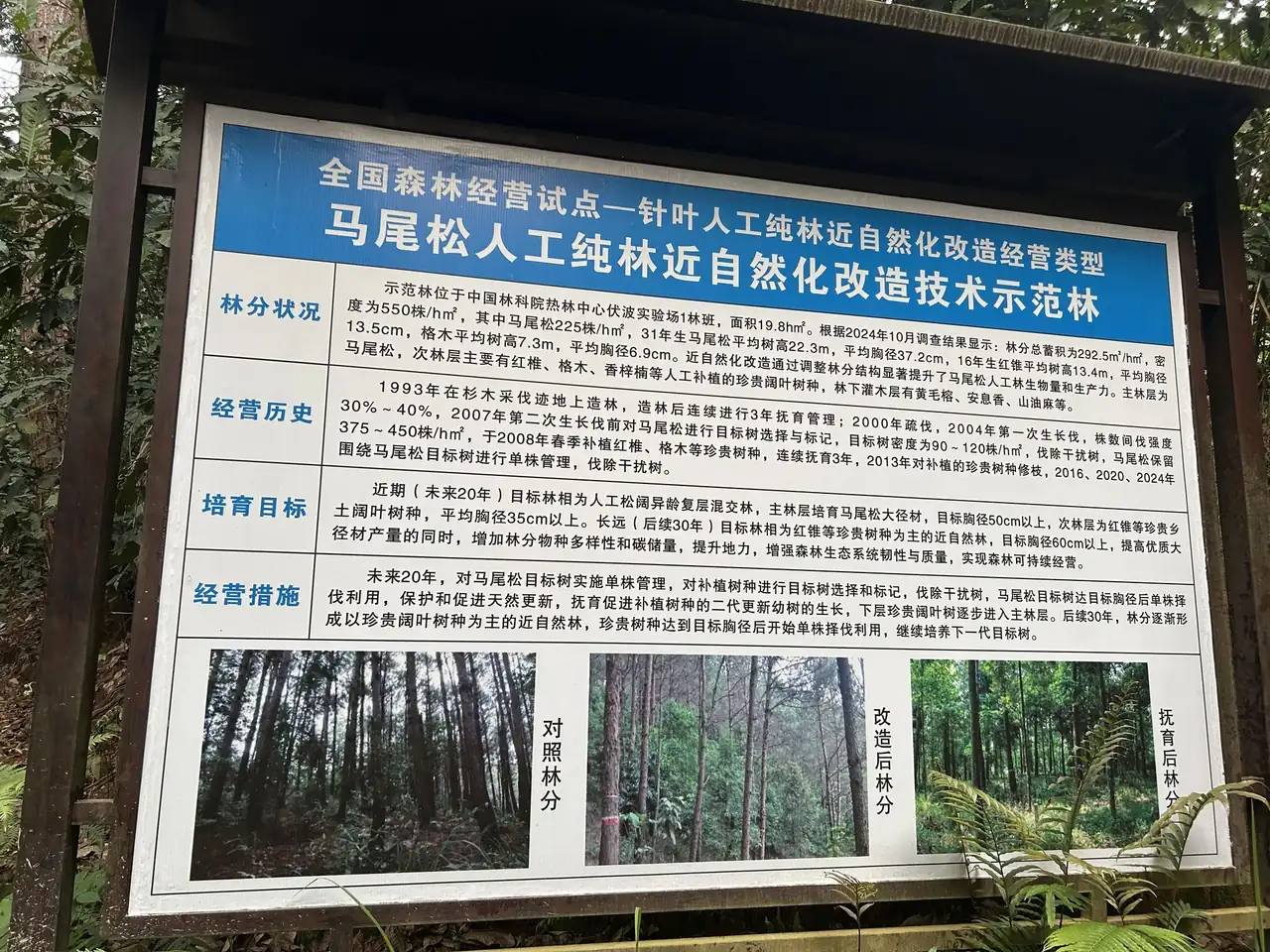 样地标志牌